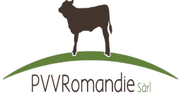 Aperçu application mobile